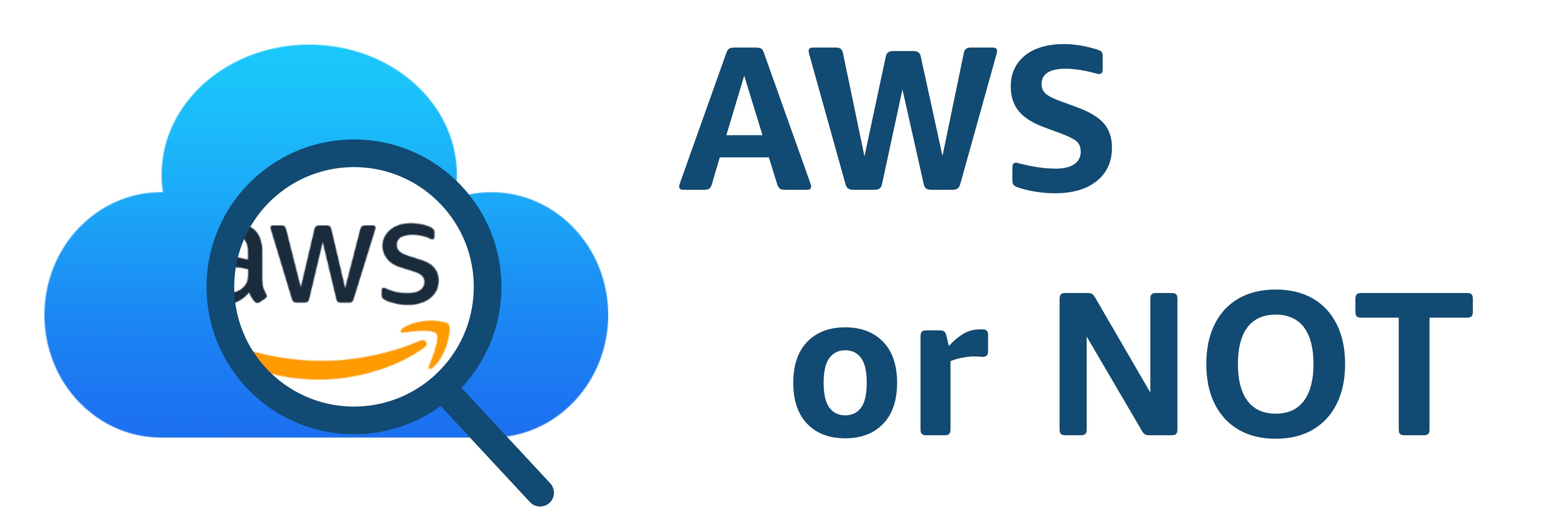 AWS or NOT Logo